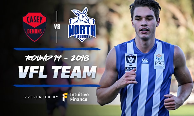 2018_Team_Hero_VFL_Rd14.jpeg